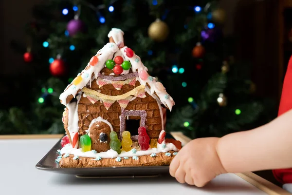 Homemade gingerbread house decorated with icing, sweets , and jelly candies with blurred Christmas tree on background. Family Christmas. Toddler hand touch a gingerbread house