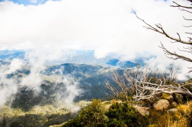 Mount Buffalo Ulusal Parkı, Victoria. Avustralya. Avustralya Alpleri 'nin Horn piknik alanı manzarası. Dağlar ve bulutlar manzara manzarası