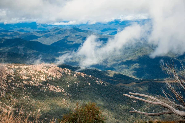 Mount Buffalo National Park Victoria Australien Australiska Alperna Utsikt Från — Stockfoto