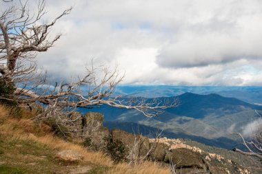 Mount Buffalo Ulusal Parkı, Victoria. Avustralya. The Horn piknik alanından Avustralya Alpleri manzarası. Dağlar ve bulutlar manzara manzarası