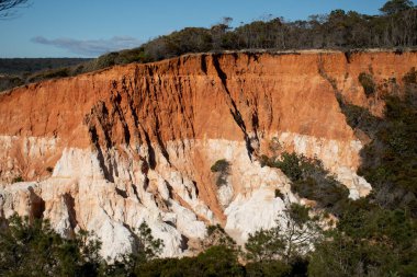 Pinnacles erozyonu, Beowa Ulusal Parkı, Yeni Güney Galler, Avustralya 'da Pambula yakınlarında kaya oluşumuna işaret ediyor.