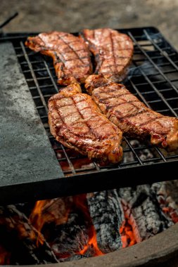 Kamp ateşinde ızgara ızgara ızgara ızgara ızgara ızgara ızgara et. Kamp ateşi aşçılığı. Açık hava mangalı