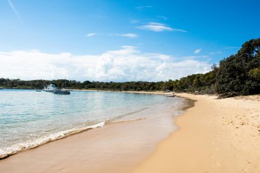 Güzel boş kumsal ve okyanus dalgaları. Jibbon Sahili ve Bundeena manzaralı, Royal National Park, New South Wales, Avustralya