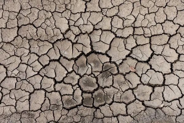 Tekstur Tanah Kering Yang Retak Karena Tidak Ada Hujan Dan Stok Gambar Bebas Royalti