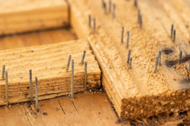 Tırnaklar ahşap bir arka planda. Yüksek kalite fotoğraf