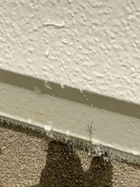 İçerideki yeni inşaat duvarından su sızıyor. Yüksek kalite fotoğraf