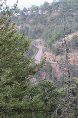 Estes Park 'tan Dağ Geçidi' ne gidiyorum. Yüksek kalite fotoğraf