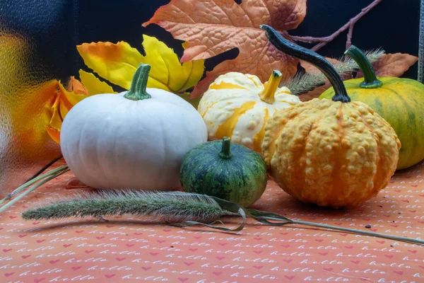 Festive autumn halloween fall harvest background pumpkin\'s and squash. High quality photo