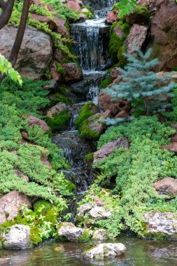 Tortuga, Rapid City South Dakota 'da sergileniyor. Yüksek kalite fotoğraf