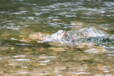 Çakılların ve taşların üzerinden akan temiz akarsuyun üzerinden şelaleye yakın çekim görüntüsü. Yüksek kalite fotoğraf