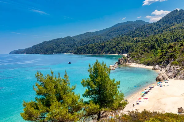 View Beautiful Fava Sand Beach Vourvourou Greek Peninsula Sithonia Chalkidiki — Stock Photo, Image