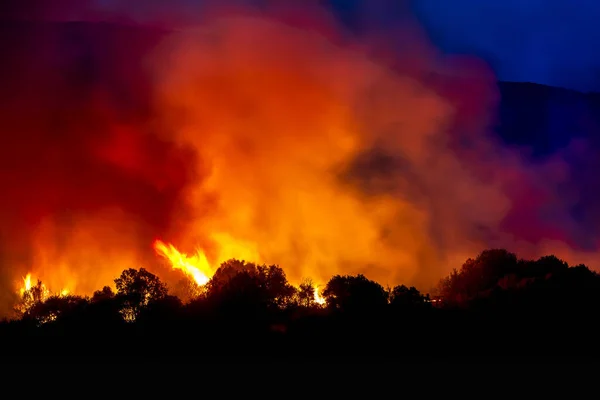 Alexandroupoli Griechenland August 2023 Waldbrände Der Präfektur Evros Nordgriechenland Das — Stockfoto
