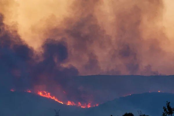 Alexandroupoli Greece August 2023 Forest Fires Prefecture Evros Northern Greece — Stock Photo, Image