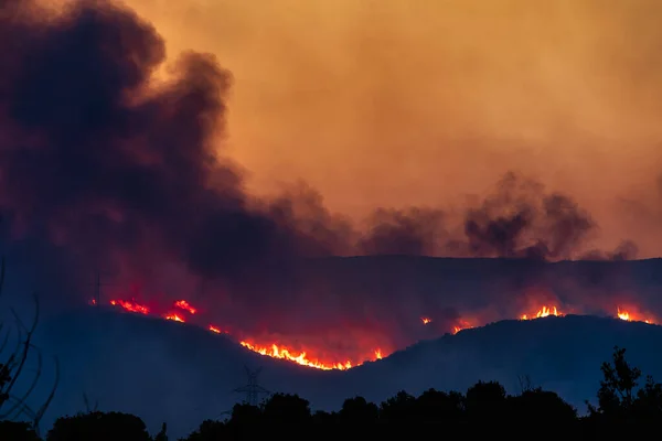 希腊亚历山大港2023年8月21日希腊北部埃弗罗斯省的森林大火是欧洲历史上最大的火灾 — 图库照片