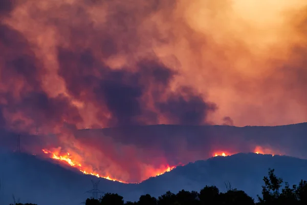 Alexandroupoli Grecia Agosto 2023 Incendios Forestales Prefectura Evros Norte Grecia —  Fotos de Stock