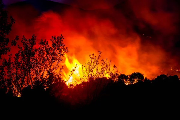 Alexandroupoli Řecko Srpna 2023 Lesní Požáry Prefektuře Evros Severním Řecku — Stock fotografie