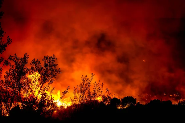 Alexandroupoli Grèce Août 2023 Incendies Forêt Dans Préfecture Evros Dans — Photo