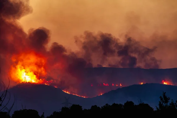 希腊亚历山大港2023年8月21日希腊北部埃弗罗斯省的森林大火是欧洲历史上最大的火灾 — 图库照片