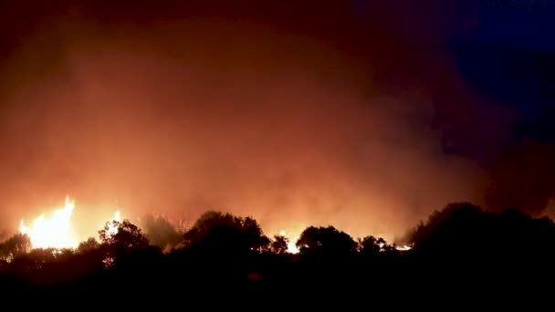 Александруполіс Греція Серпня 2023 Лісові Пожежі Префектурі Єврос Півночі Греції — стокове відео