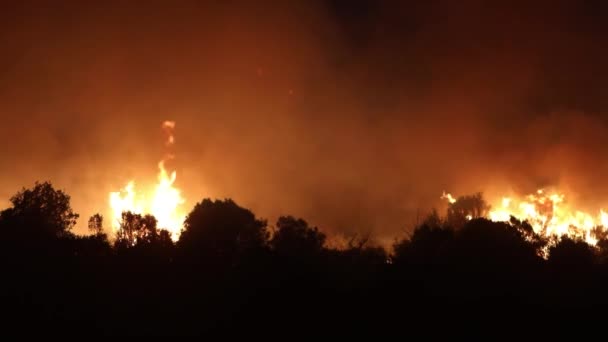 Alexandroupoli Grecia Agosto 2023 Incendios Forestales Prefectura Evros Norte Grecia — Vídeo de stock