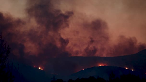 希腊亚历山大港2023年8月21日希腊北部埃弗罗斯省的森林大火是欧洲历史上最大的火灾 — 图库视频影像