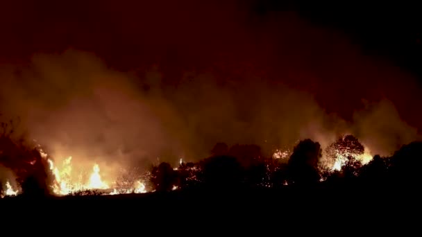 Αλεξανδρούπολη Ελλάδα Αυγούστου 2023 Πυρκαγιές Δασών Στο Νομό Έβρου Στη — Αρχείο Βίντεο