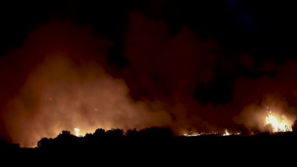 Alexandroupoli Řecko Srpna 2023 Lesní Požáry Prefektuře Evros Severním Řecku — Stock video