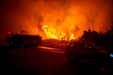 23 Ağustos 2023 'te Avrupa' nın en büyük yangınında Yunanistan 'ın kuzeyindeki Evros ilinde orman yangınları çıktı.