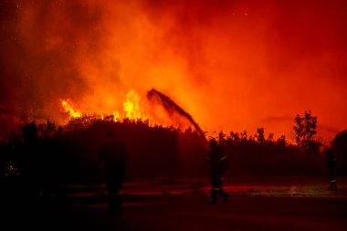 23 Ağustos 2023 'te Avrupa' nın en büyük yangınında Yunanistan 'ın kuzeyindeki Evros ilinde orman yangınları çıktı.