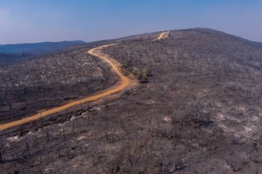 Hava görüntüsü, 23 Ağustos 2023 'te Yunanistan' ın kuzeyindeki Evros ilinde çıkan ve Avrupa 'nın gördüğü en büyük yangında çıkan yangından sonra yanmış bir bölgeyi gösteriyor. Felaket etkileri, çevre felaketi