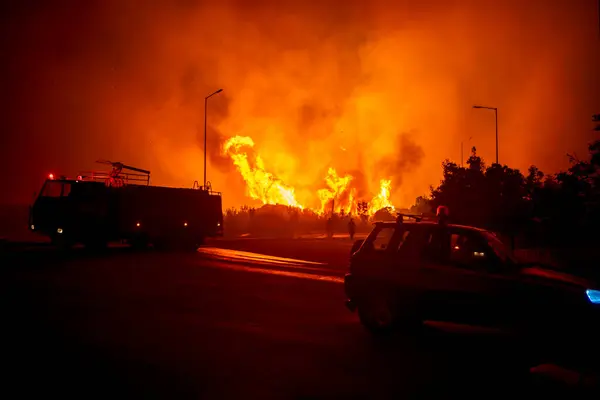 2023年8月23日 希腊北部埃弗罗斯省的森林大火成为欧洲历史上最大的火灾 — 图库照片