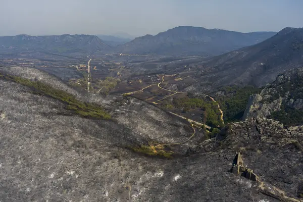 Vista Aérea Mostra Uma Área Queimada Após Incêndio Província Evros Fotografia De Stock
