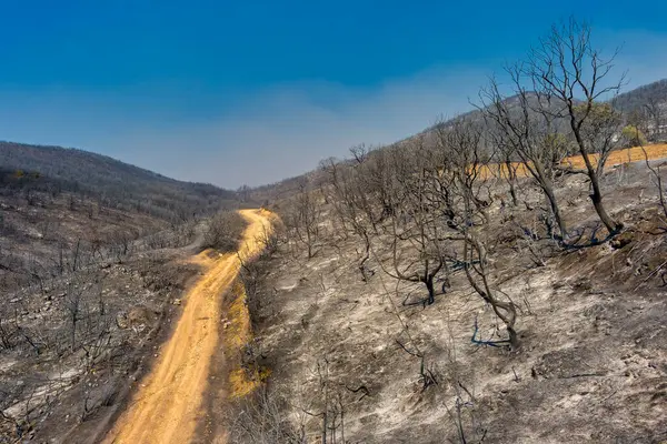 航拍照片显示 2023年8月23日 希腊北部埃弗罗斯省发生大火 烧毁了整个地区 这是欧洲最大的火灾 灾害后果 环境灾难 图库图片