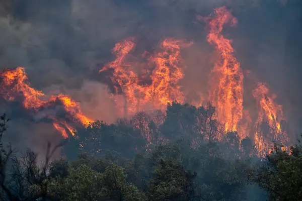 Лесные Пожары Префектуре Эврос Севере Греции Крупнейшем Пожаре Европе Августа Стоковое Изображение