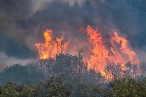 Лесные Пожары Префектуре Эврос Севере Греции Крупнейшем Пожаре Европе Августа Лицензионные Стоковые Изображения