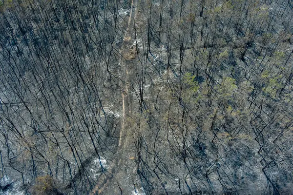 Αεροφωτογραφία Δείχνει Μια Καμένη Περιοχή Μετά Από Πυρκαγιά Στο Νομό Φωτογραφία Αρχείου