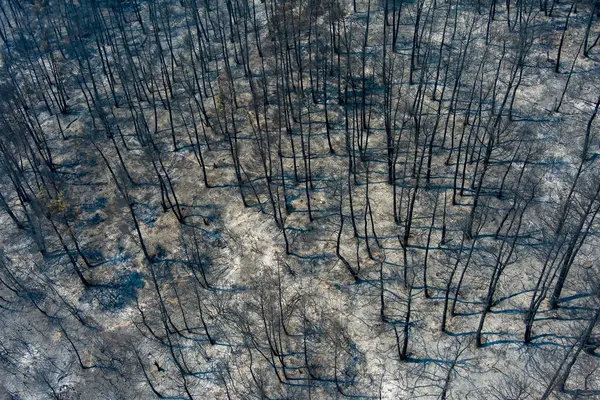 Vue Aérienne Montre Une Zone Incendiée Après Incendie Dans Préfecture Images De Stock Libres De Droits