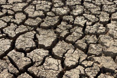 Yunanistan 'ın Selanik' in biraz dışındaki Kato Scholari gölü bir çöle dönüştü. Bir zamanlar bitki ve hayvan türleri ile dolu olan bu göl, şimdi bir çöl bölgesinin bir kısmına benziyor.