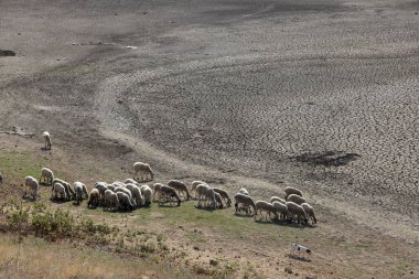 Yunanistan 'ın Selanik' in biraz dışındaki Kato Scholari gölü bir çöle dönüştü. Bir zamanlar bitki ve hayvan türleri ile dolu olan bu göl, şimdi bir çöl bölgesinin bir kısmına benziyor.