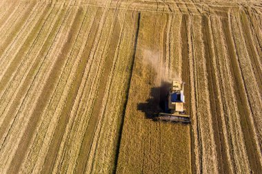 Yunanistan 'ın Chalastra kentinde modern tarım uygulamalarını hassasiyet ve verimlilikle sergileyen bir biçerdöver tarafından etkin bir şekilde hasat edilen geniş pirinç tarlasının havadan görünüşü