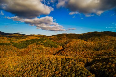 Turuncu, kırmızı ve altın sarısı sıcacık renklerde parlayan bir sonbahar ormanının hava manzarası renkli manzarayı oyuyor. Yunanistan 'ın Chalkidiki kentinde Sonbahar