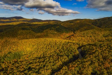 Turuncu, kırmızı ve altın sarısı sıcacık renklerde parlayan bir sonbahar ormanının hava manzarası renkli manzarayı oyuyor. Yunanistan 'ın Chalkidiki kentinde Sonbahar