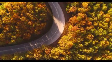 Turuncu, kırmızı ve altın sarısı sıcacık renklerde parlayan bir sonbahar ormanının hava manzarası renkli manzarayı oyuyor. Yunanistan 'ın Chalkidiki kentinde Sonbahar