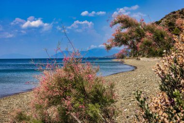 Kuzey Evia, Yunanistan 'da kristal berrak suları, çakıl taşlı kıyıları ve sakin bir yaz atmosferi olan huzurlu bir sahil.