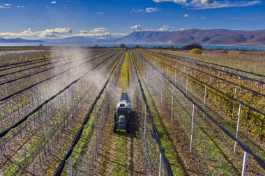 Yunanistan 'ın Arnissa kentindeki elma bahçesinde traktör ağaçları püskürtülüyor. Düzgün sıralar, Vegoritida Gölü ve açık mavi gökyüzünün altında dağlar..