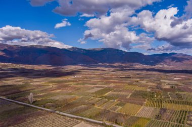 Yunanistan 'ın Arnissa kentindeki elma ağaçları, uzak dağlar ve yukarıda parçalı bulutlu bir gökyüzü ile düzenli sıralar halinde dizilmiş durumdalar. Doğal güzelliklerle dolu huzurlu bir kırsal bölge..