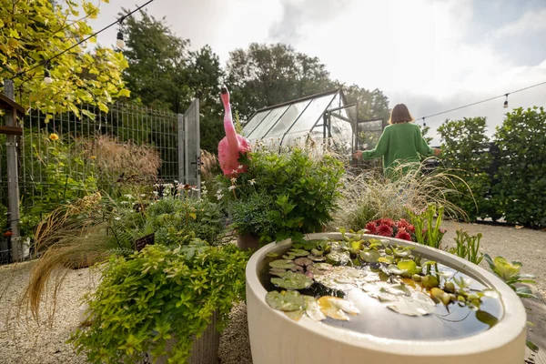 Gyönyörű Ház Udvar Zöld Növények Kis Szökőkút Tálban Női Személy — Stock Fotó