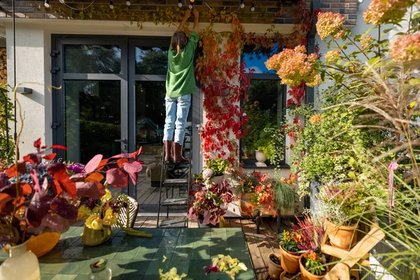Kadın Sonbahar Zamanı Arka Bahçeden Vahşi Sarmaşıkların Yetiştiği Evinin Güzel — Stok fotoğraf