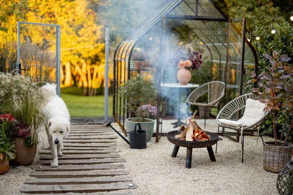 Güzel Rahat Bir Bahçe Dinlenme Odasında Bir Piknik Ateşi Arkasında — Stok fotoğraf