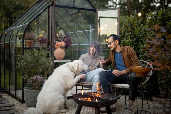 Junges Reizendes Paar Verbringt Die Abendzeit Mit Einem Hund Beim — Stockfoto